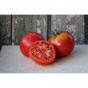Tomate de Marcel