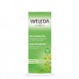 Huile anticellulite au bouleau - 100 ml