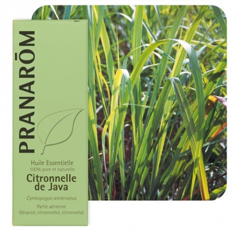 Huile essentielle de Citronnelle de Java - 10 ml Huile essentielle de Citronnelle de Java - 10 ml