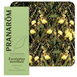 Huile essentielle d'Eucalyptus mentholé