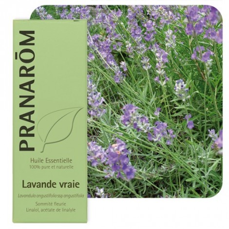 Huile essentielle de Lavande vraie Huile essentielle de Lavande vraie