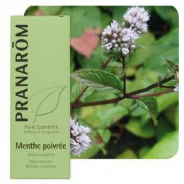 Huile essentielle de menthe poivrée 10 ml - Pranarom