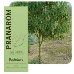 Huile essentielle de Ravintsara 10 ml - Pranarôm