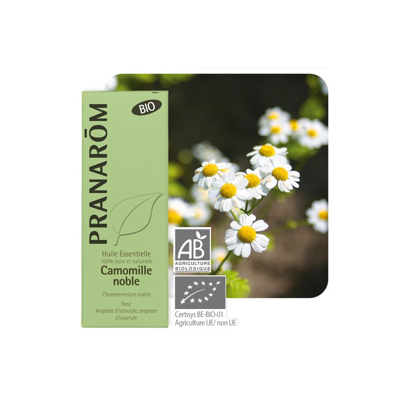 Pranarôm - Huile essentielle de Camomille romaine BIO - 5 ml - Sebio