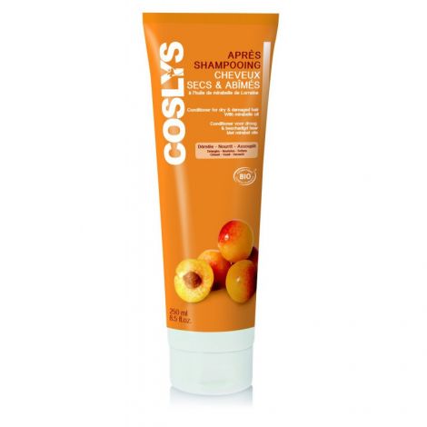 shampooing pour cheveux secs abimés shampooing pour cheveux secs abimés