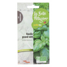 Basilic grand vert 0,5g - Ocimum basilicum L.