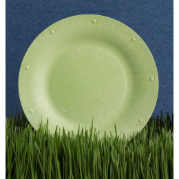 Grande assiette végétale compostable - 25,4 cm - Lot de 8 - Blanc cassé