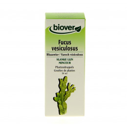 Fucus vesiculosus - Verch Vésiculeux - Teinture Mère