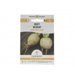Navet Jaune Boule d'Or - 1,00 g
