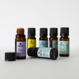 Huile essentielle de niaouli BIO - 10 ml