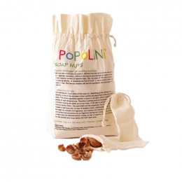 Noix de lavage - 1 kg