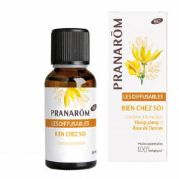 Bien chez soi BIO Les diffusables 30 ml - Pranarôm