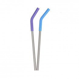 2 pailles courbées en inox et silicone