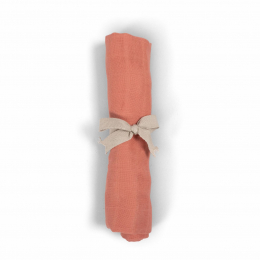 Lange tétra - Coral