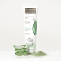 Masque argile verte BIO 100 ml