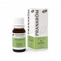Huile essentielle de Pin sylvestre BIO 10 ml