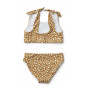 Bikini Bow - Mini leo & Golden caramel