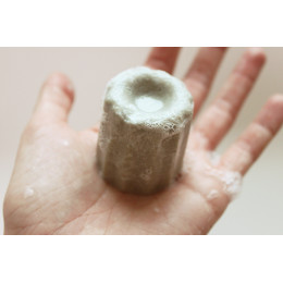 Solid shampoo normaal haar Den-geur 55 g