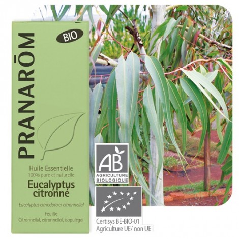  	Citroeneucalyptus essentiële olië BIO