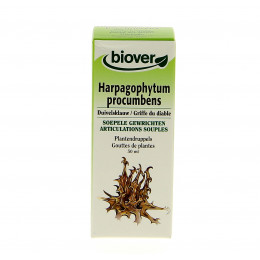 Harpagophytum procumbens - Duivelsklauw - Moedertinctuur