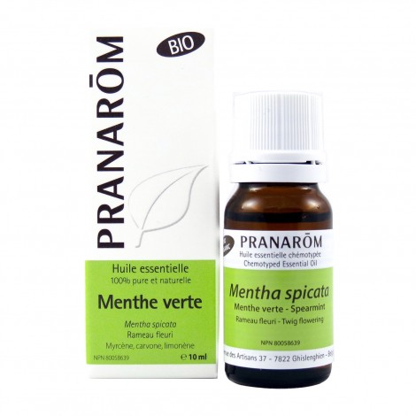 Menthe verte BIO - 10 ml Menthe verte BIO - 10 ml