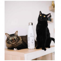 Bouteille isotherme - Pretty cats - 500ml