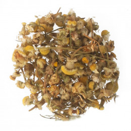 Bio kamillethee