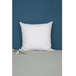 Oreiller -Coton Bio - 60 x 60 cm